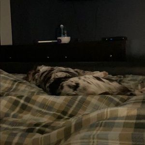 Meet your Posher, Misty